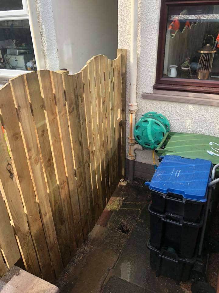 Professional lawn mowing and edging at a residential property