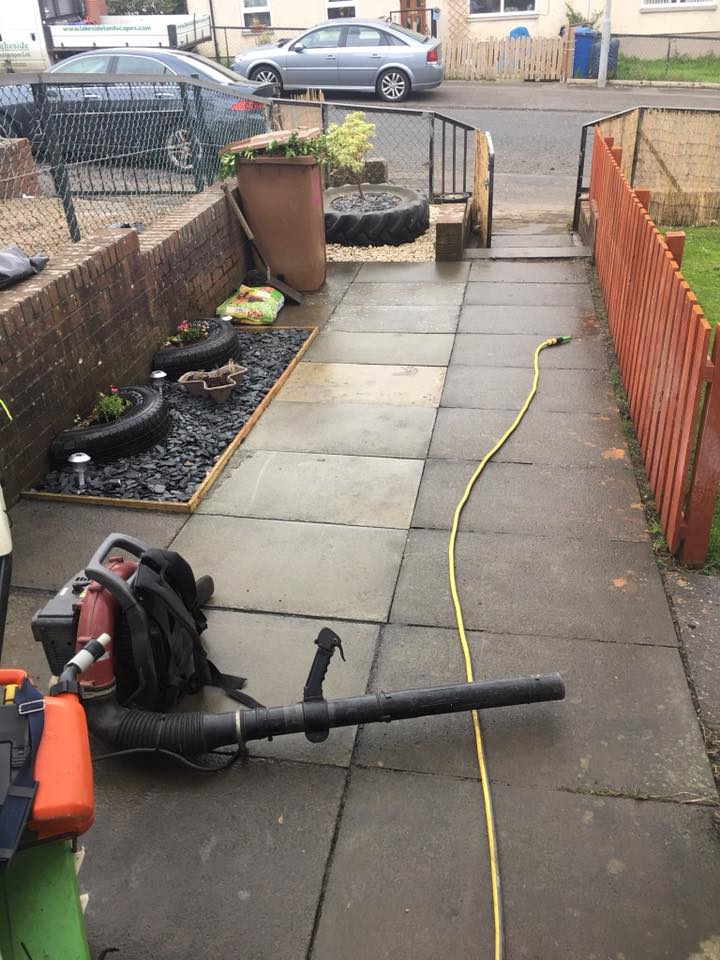 Neatly trimmed privet hedge at a residential property