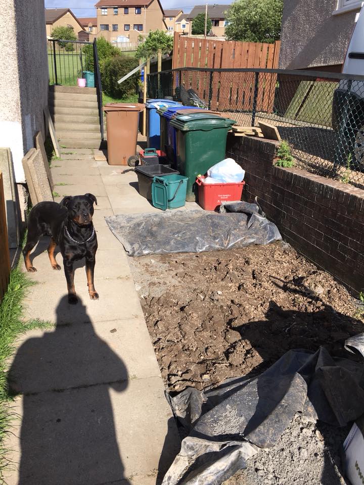 Full garden landscaping with turf and feature planting