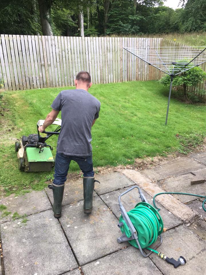 Conifer hedge reduction and shaping service