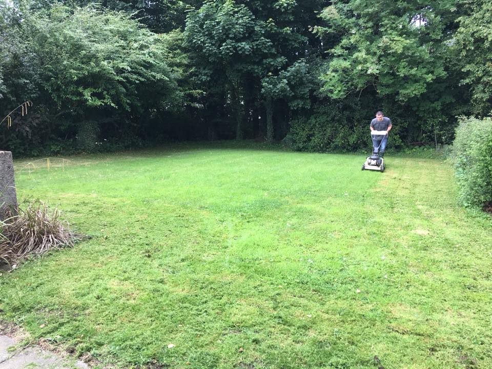 Year-round garden care with seasonal planting