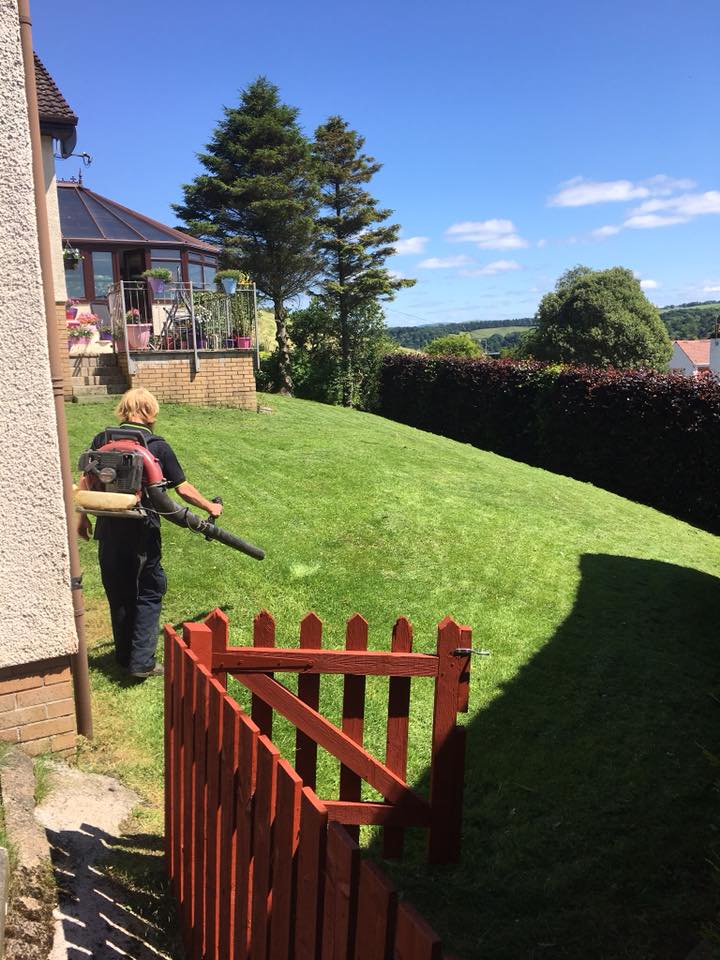 Decorative picket fencing in a front garden
