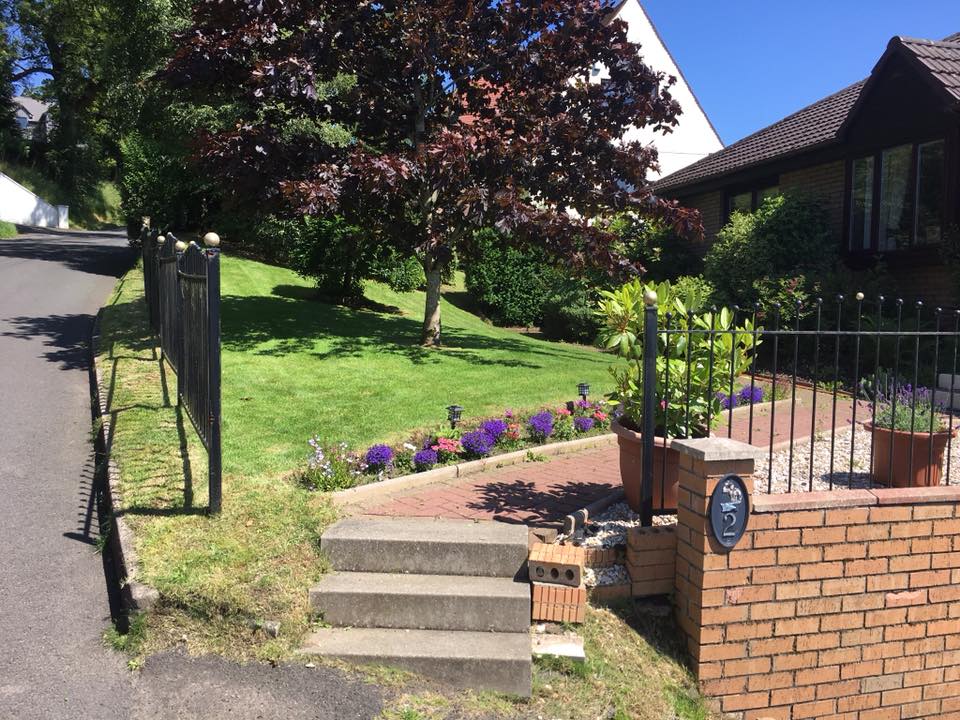 Box hedge trimming and formal garden maintenance