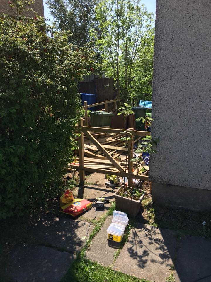 Tree services including branch removal and pruning